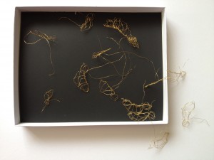 Wire seeds in & out of the box