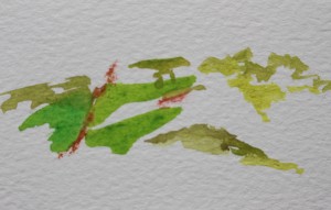 Colour touches the fields  - watercolour, paint - Approx 30 mm x 70 mm