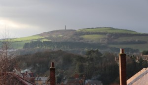 Greens seeping in as Spring sunshine breaks through low cloud