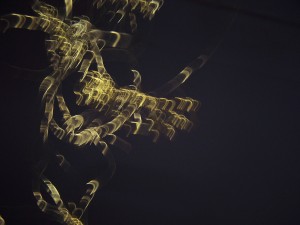 100_3804