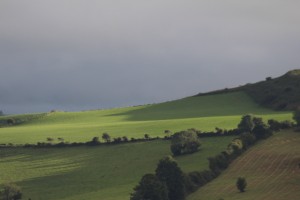 Long shadows seep across the fields just before sunset.