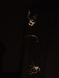 Wires 29